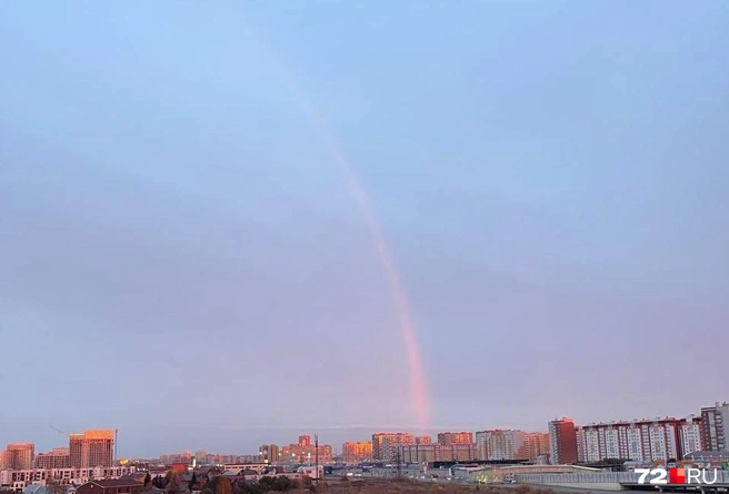 Посмотрите на фото и попробуйте угадать, что это такое. Ниже дадим комментарий эксперта | Источник: читатель 72.RU