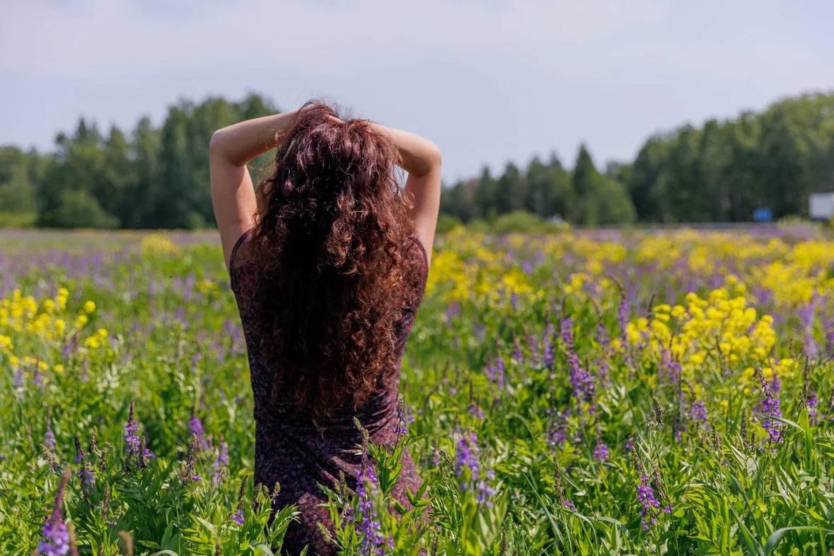 Под Тюменью зацвели фиолетово-желтые поля. Сдаем место для летних фото