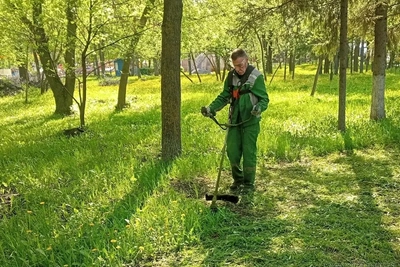 В парках Пензы начали покос травы