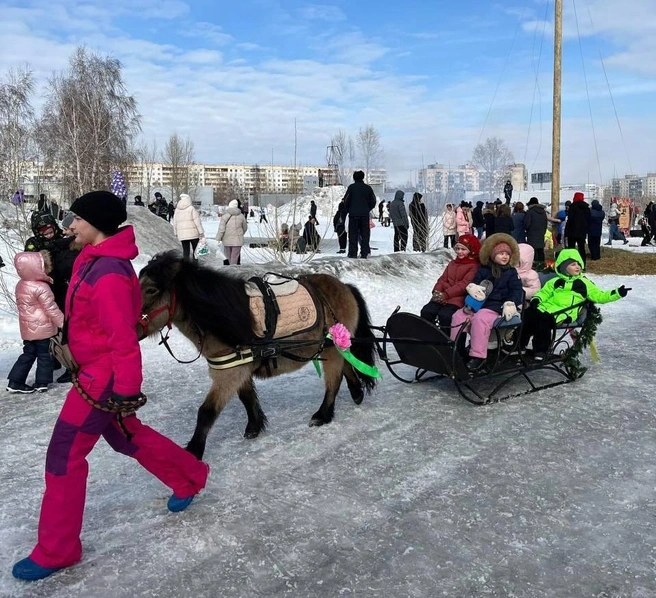 Некоторые пони обладают тяжелым характером | Источник: Дарья Акимова