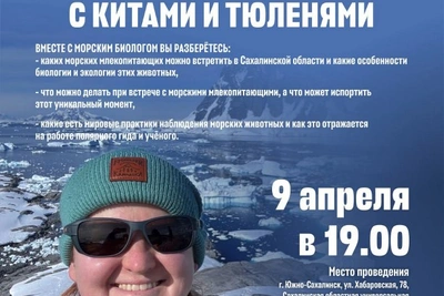 Встреча с биологом: как подружиться с китами на Сахалине