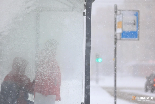 Приготовьте теплую одежду | Источник: Сергей Михайличенко / FONTANKA.RU