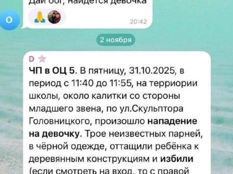 Первые сообщения о происшествии появились 2 ноября. | Источник: соцсети