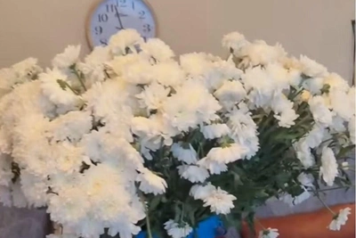 Любовь сильнее немощи: пара 172 лет