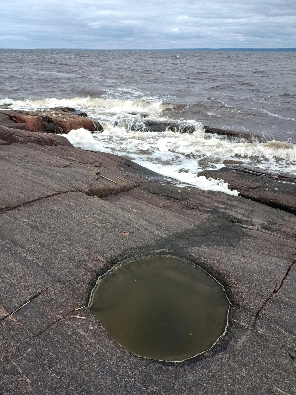 Источник: Светлана Звонарёва