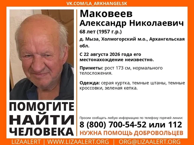 Источник: Поисковый отряд «ЛизаАлерт» Архангельской обл. / Vk.com