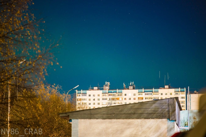 Нижневартовск  | Источник: «Типичный краб Нижневартовск» / T.me