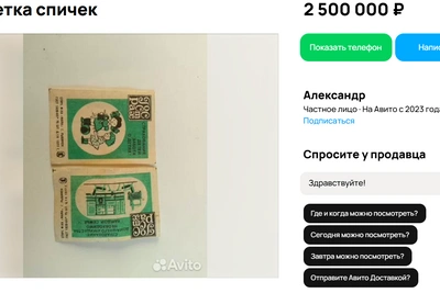 От камней мамонта до спичечных домиков: уникальные коллекции Барнаула