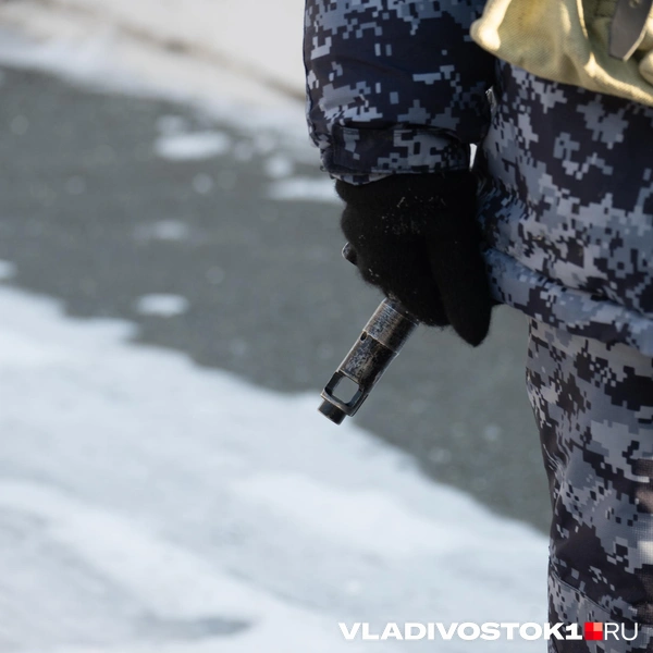 Источник: Елена Буйвол / VLADIVOSTOK1.RU