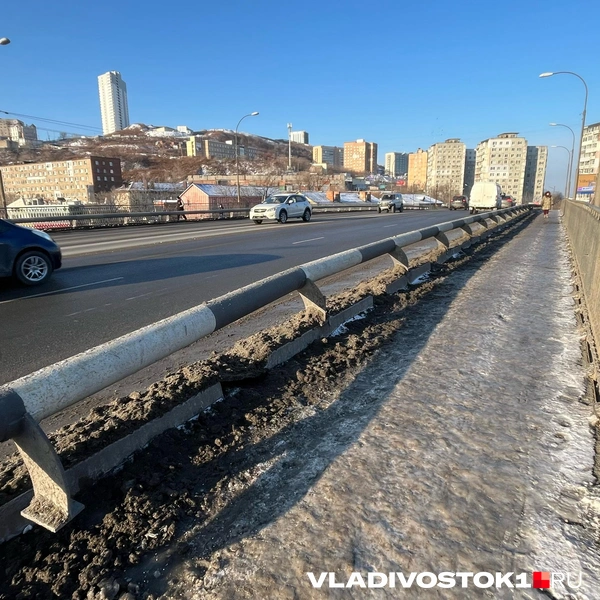 Источник: Елена Буйвол / VLADIVOSTOK1.RU