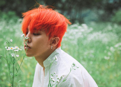 G-Dragon выпустит парфюм совместно с Frédéric Malle