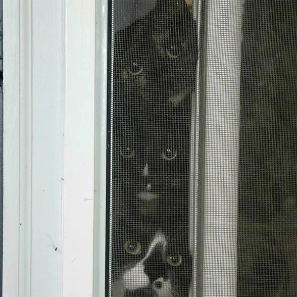 Источник: соцсеть