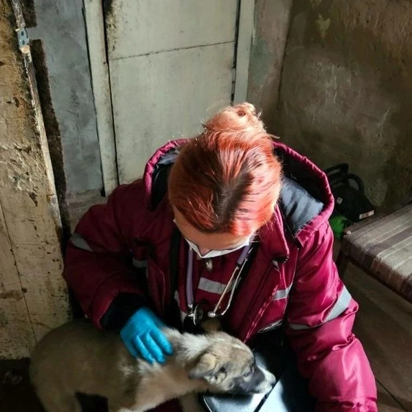 Источник: станция скорой медицинской помощи Барнаула