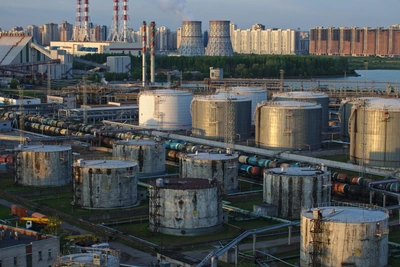 Иски Васильевой: 100 млн с директора и контроль над ПНТ