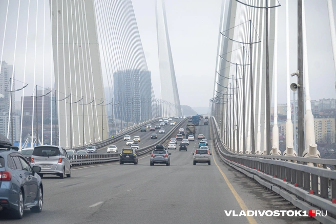 И внутренней жизни визитной карточки города | Источник: Елена Буйвол / VLADIVOSTOK1.RU