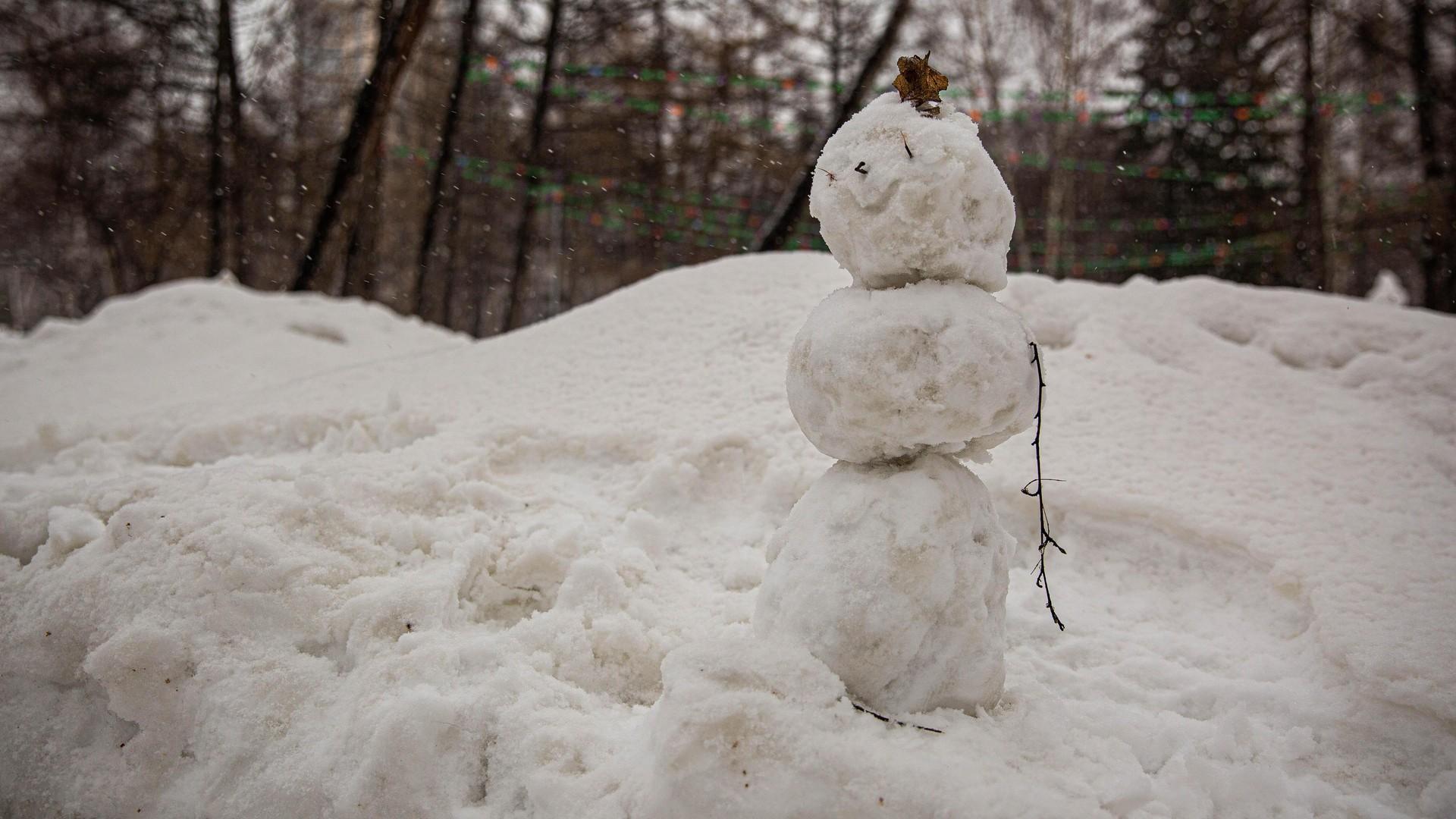 «Простая человеческая доброта»: видео со спасением снеговика растрогало даже главу Башкирии
