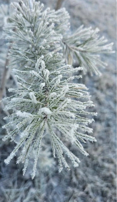 Источник: Мария Решетникова