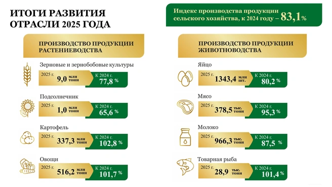 Производство продукции растениеводства упало | Источник: министерство сельского хозяйства Ростовской области
