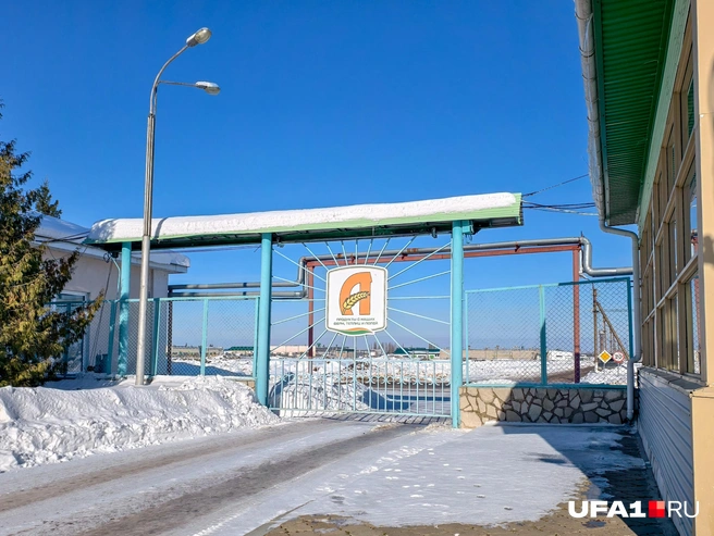 Совхоз «Алексеевский» | Источник: Булат Салихов / UFA1.RU