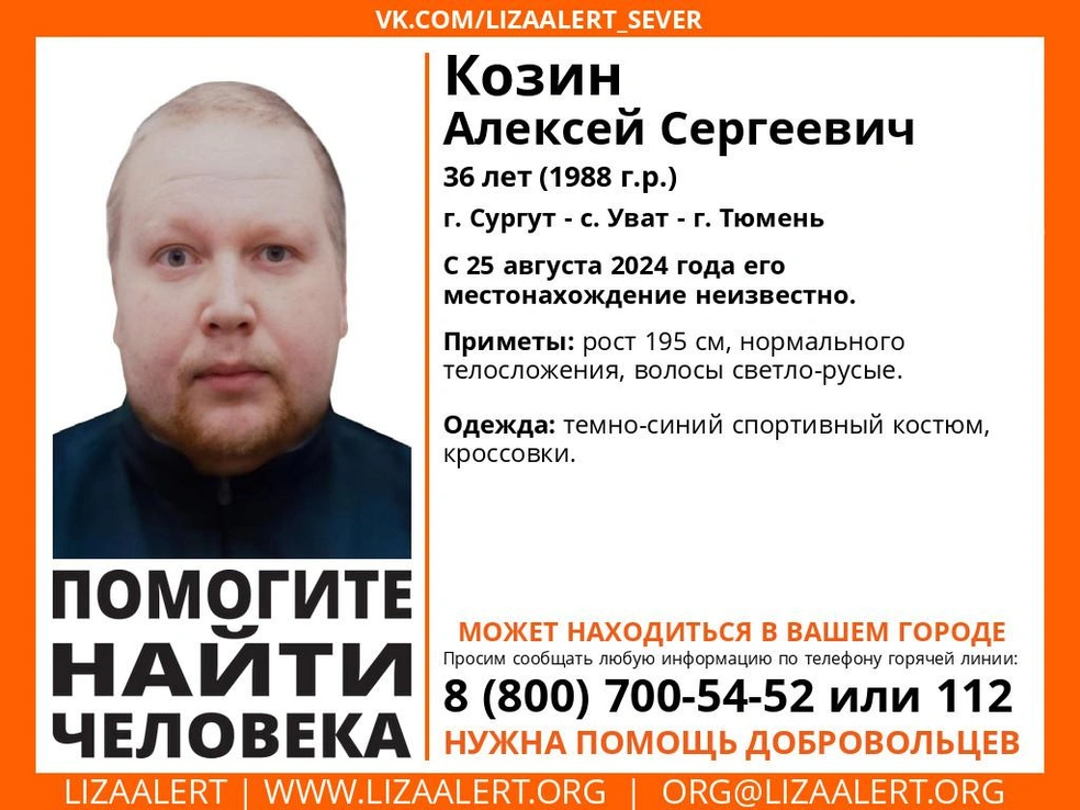 Источник: Поисковый отряд «ЛизаАлерт» Тюменской области / Vk.com