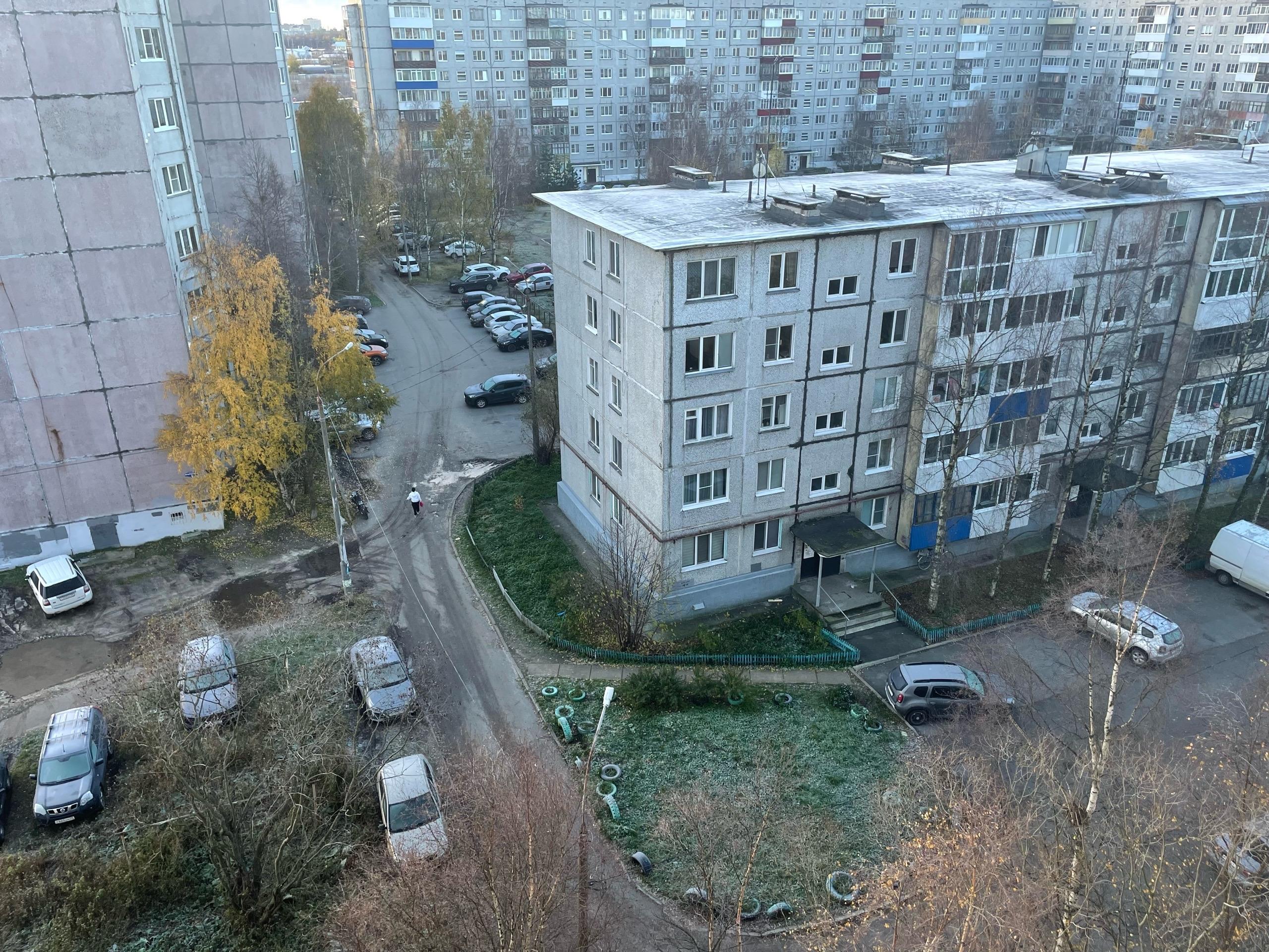 Улицы покрыл иней: какая погода будет в Архангельске сегодня