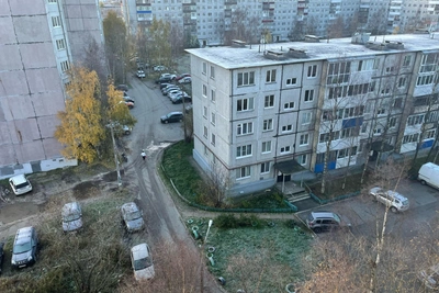 Иней покрыл улицы Архангельска, ожидается первый снег