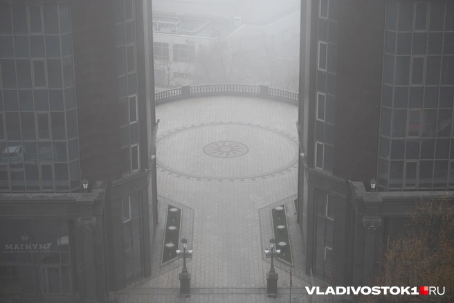 Источник: Елена Буйвол / VLADIVOSTOK1.RU