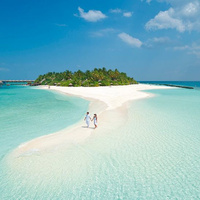 Аватарка Алиса Кумалова