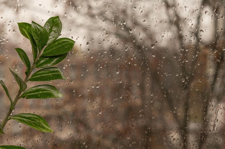 Источник: Olena Vasylieva / Legion Media