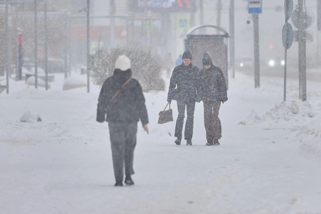 Источник: Александр Ощепков / NGS.RU