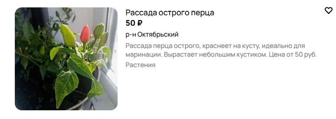Источник: Avito.ru