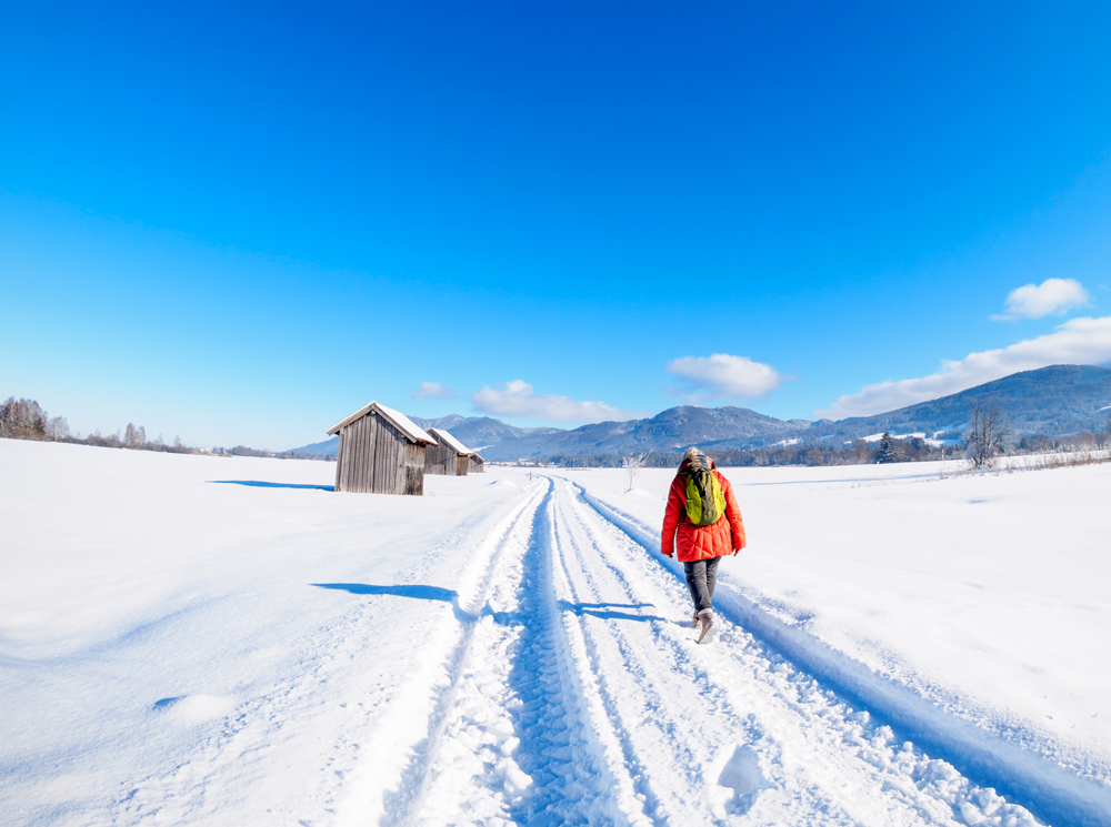 Гороскоп на неделю c 31 января по 6 февраля: нарушенные планы и неожиданный успех | marieclaire.ru