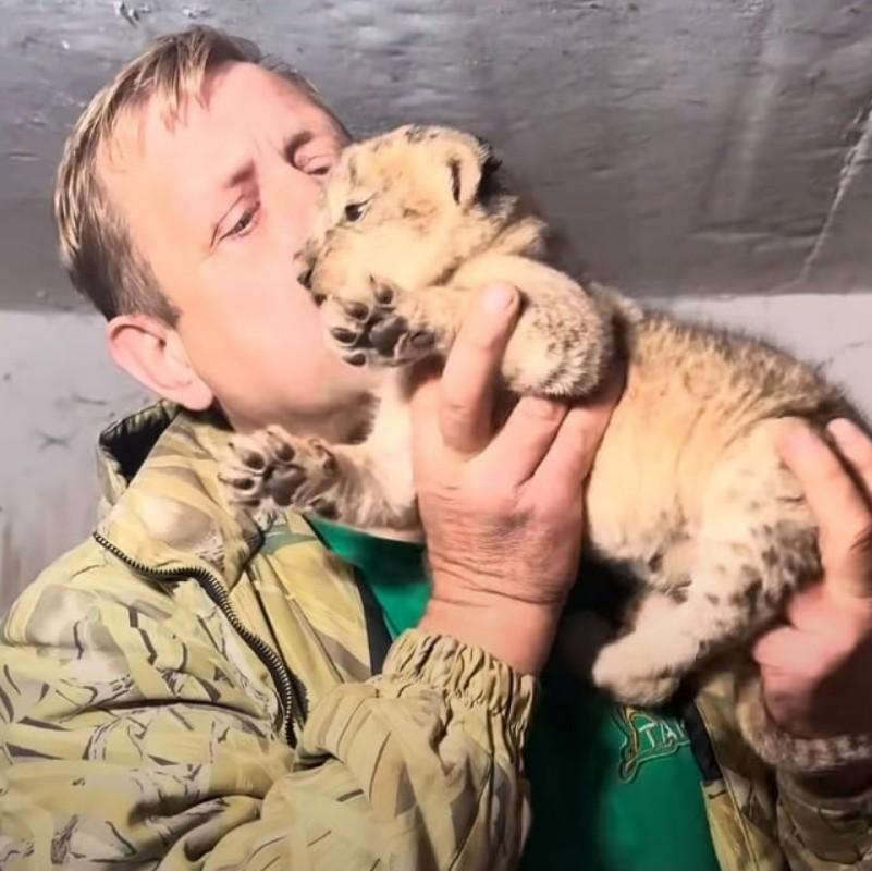 «Он был все время в сознании, держал льва за клыки»: сотрудница парка «Тайган» рассказала, в каком состоянии Олег Зубков
