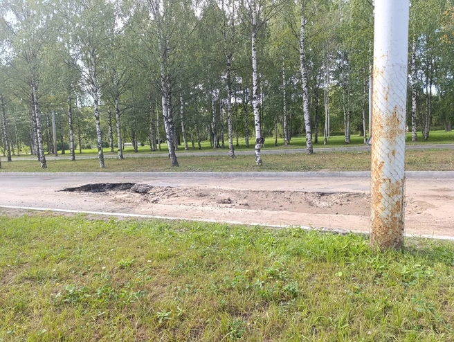 Дорогу явно раскапывали, но сейчас она засыпана | Источник: Наталья Шаньгина