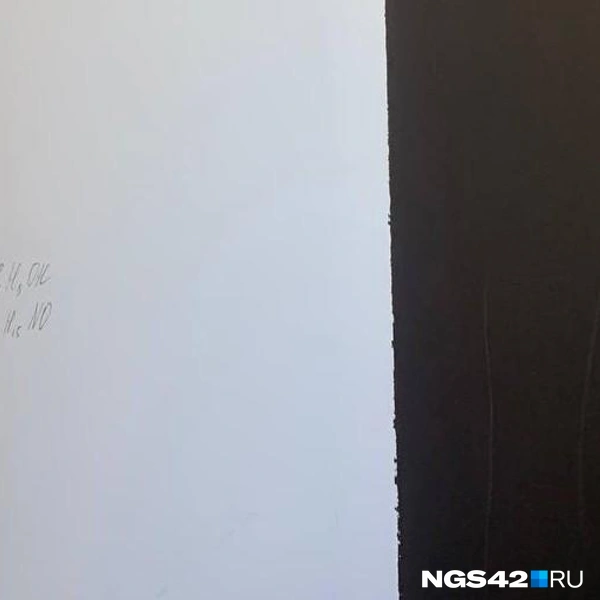 Источник: Татьяна Ирискина / NGS42.RU