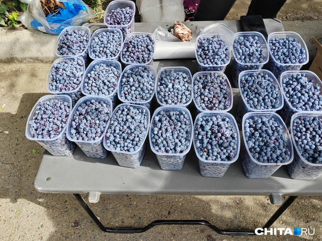 Пока же дефицита в ягоде нет | Источник: Дарья Кливенкова / CHITA.RU