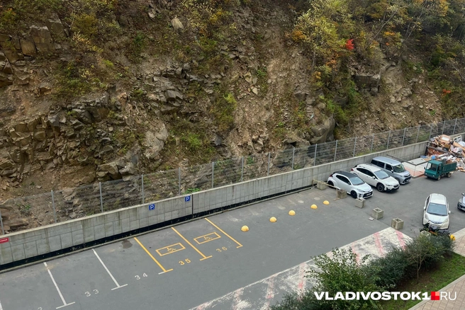 Узнали, кто еще может бесплатно парковаться | Источник: Елена Буйвол / VLADIVOSTOK1.RU
