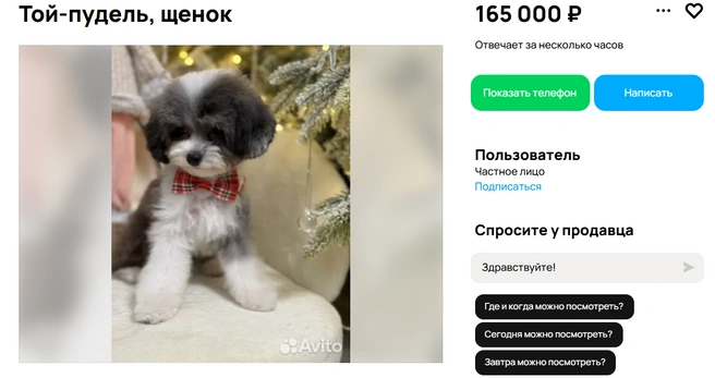 Самая дорогая порода  | Источник: Авито 