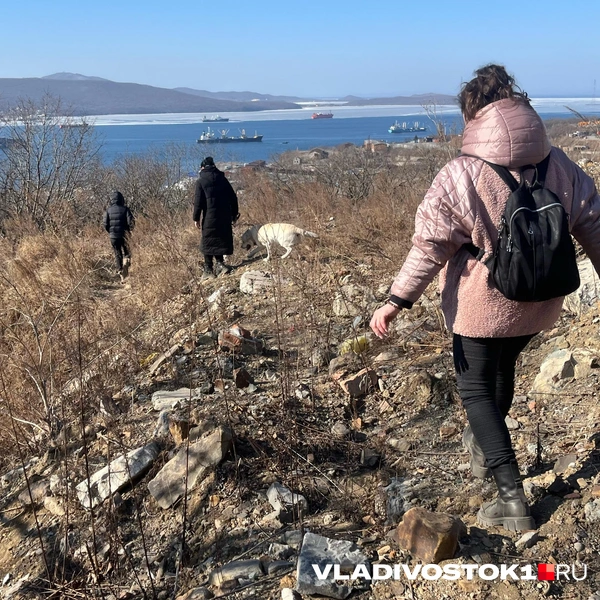 Источник: Елена Буйвол / VLADIVOSTOK1.RU