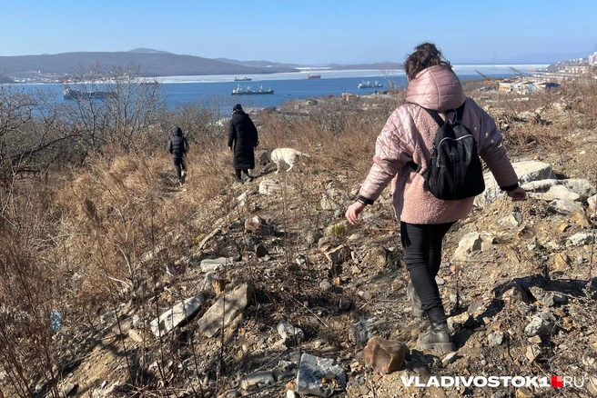 Источник: Елена Буйвол / VLADIVOSTOK1.RU