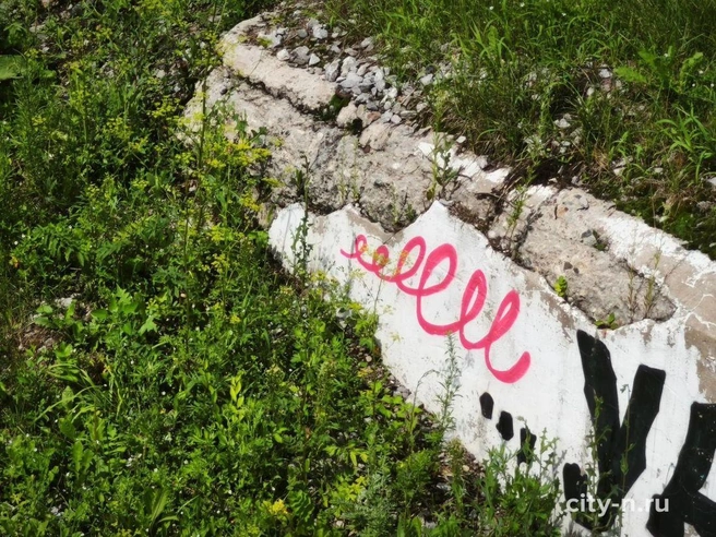 Источник: www.city-n.ru