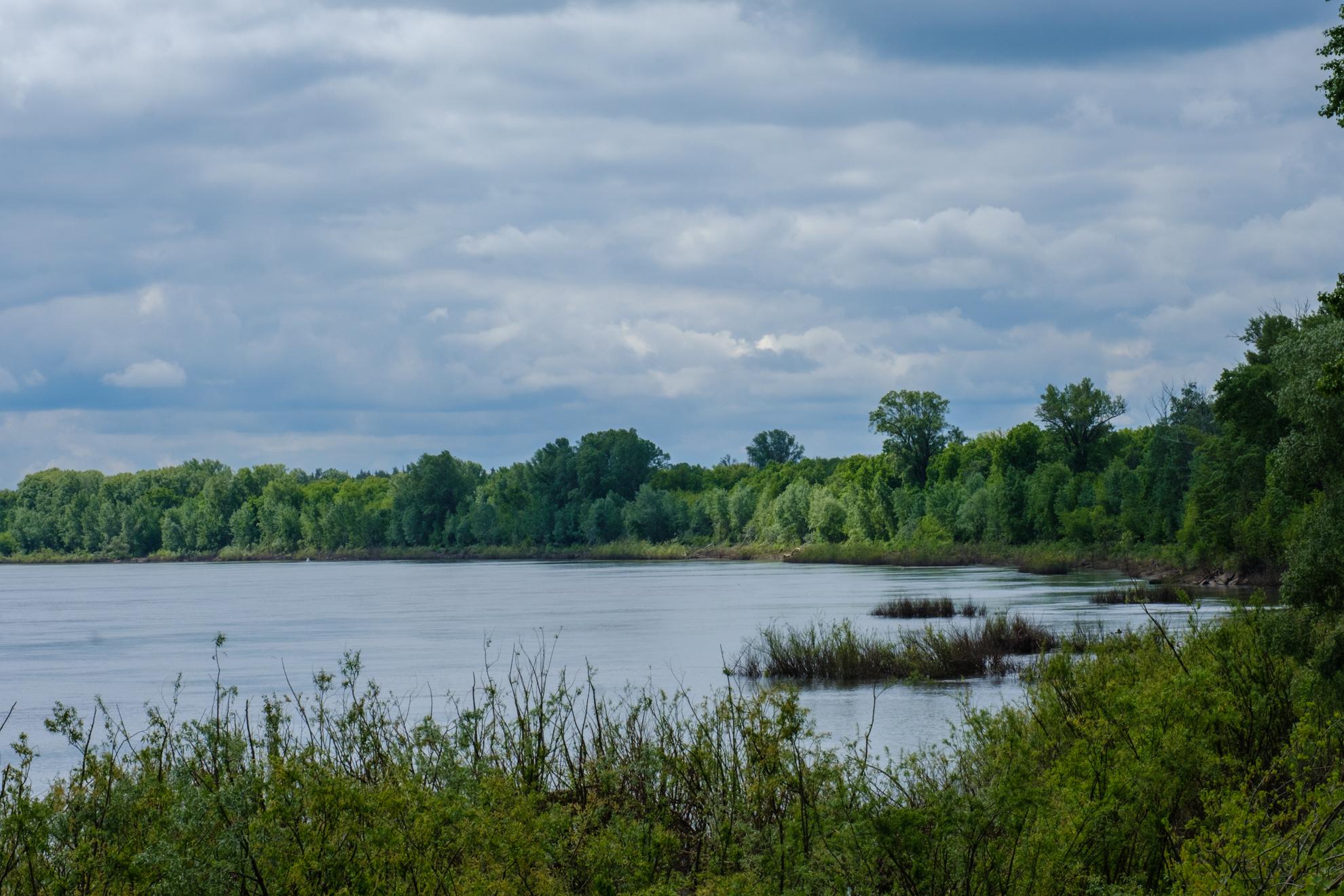Сезон шортиков открыт: на следующей неделе Уфа встретит долгожданную жару