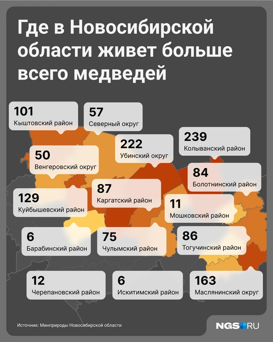 Источник: Виталий Калистратов / Городские порталы