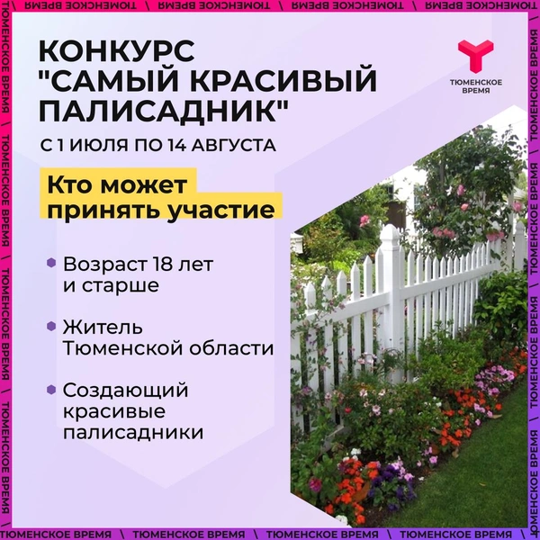 Победитель определится по количеству голосов в соцсетях | Источник: «Тюменское время»