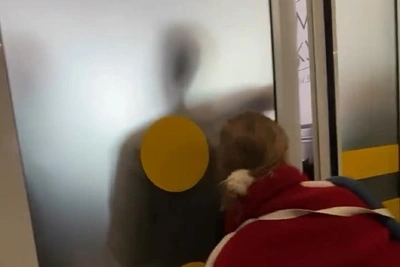 Бунт пассажиров в аэропорту Волгограда попал на видео