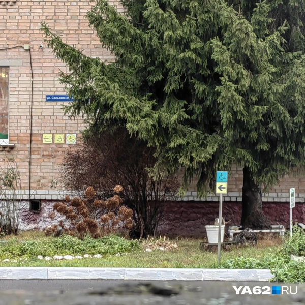 Источник: Кристина Мельникова / YA62.RU