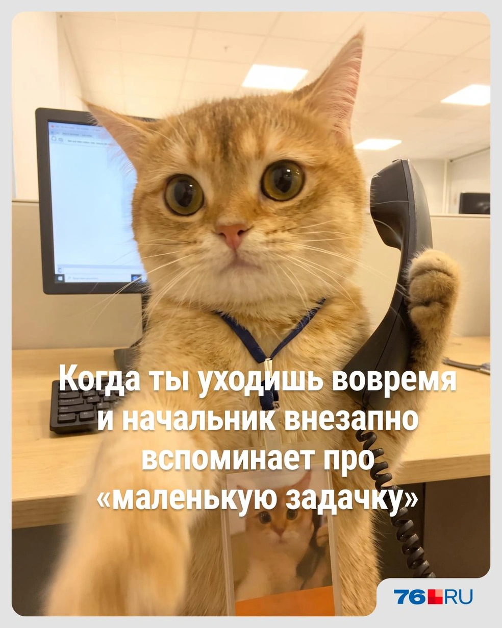 «Маленькая задачка» может растянуться надолго | Источник: Городские медиа