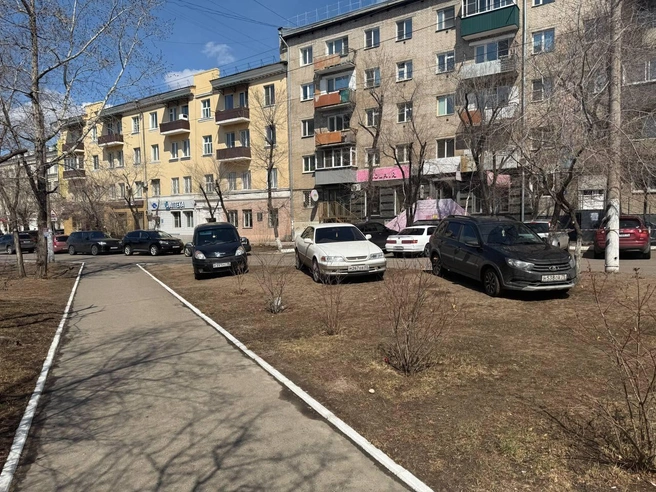 В палате считают, что бездумная парковка привела к уничтожению саженцев сирени | Источник: КСП Забайкальского края / t.me