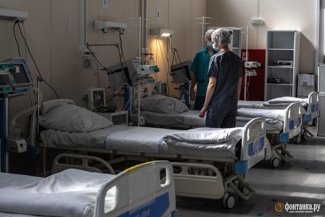 Достаточно лишь небольшого кусочка гриба, чтобы оказаться в реанимации | Источник: Михаил Огнев / FONTANKA.RU