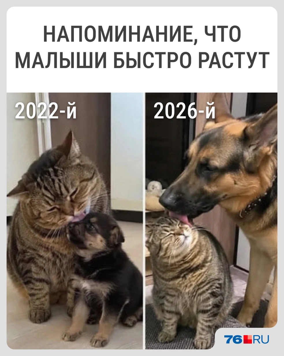Эти крошки быстро растут | Источник: Городские медиа